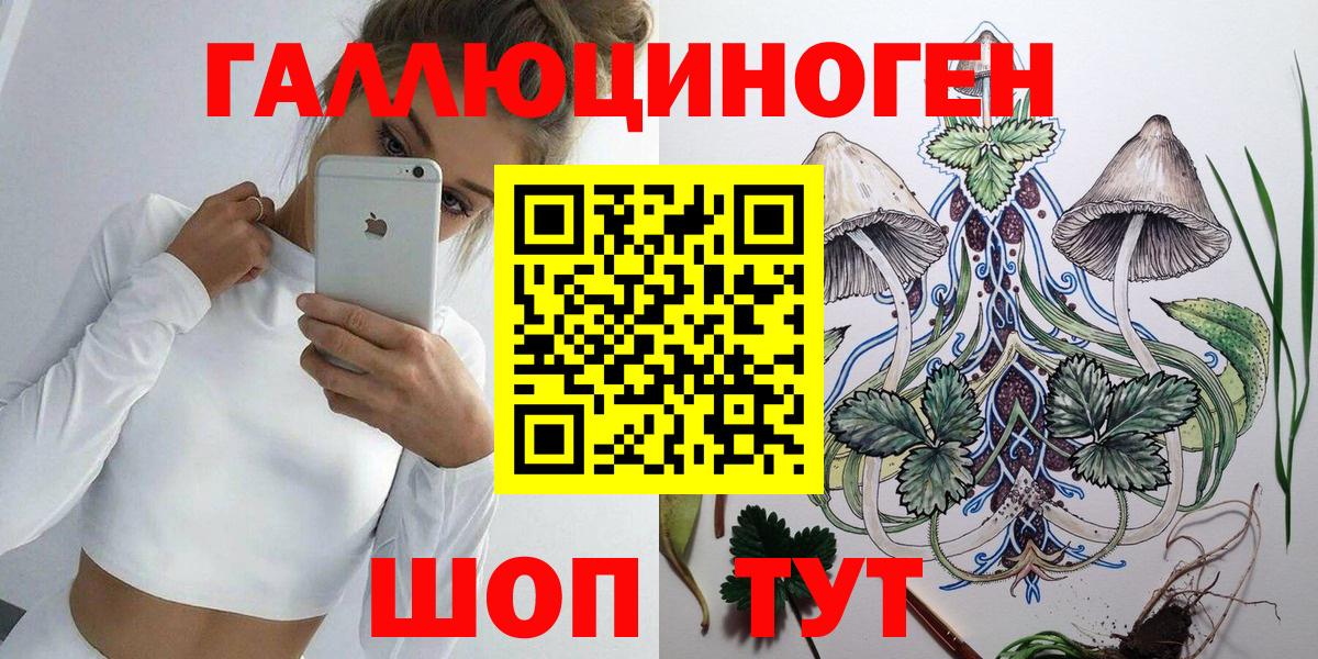 Псилоцибиновые грибы GOLDEN TEACHER  как найти наркотики  Псилоцибиновые грибы Psilocybine cubensis  Артём  Вход с VPN 