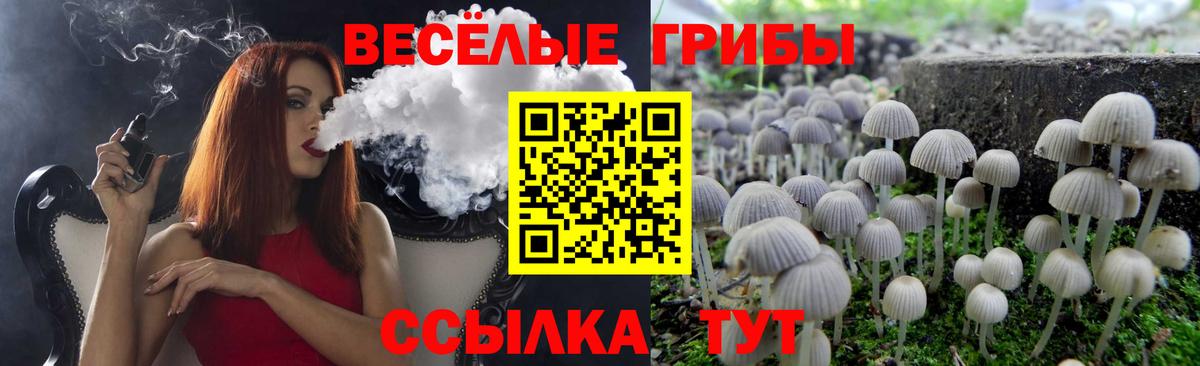 Псилоцибиновые грибы Cubensis Артём